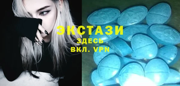 мет Алексин