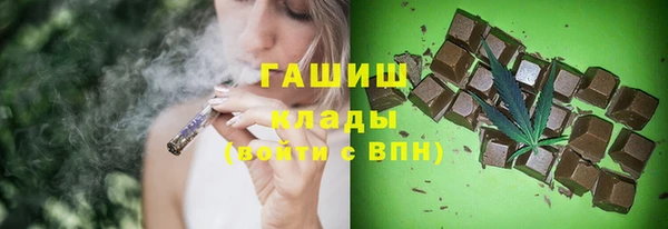 мет Алексин