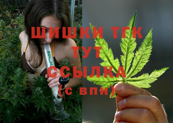 мет Алексин
