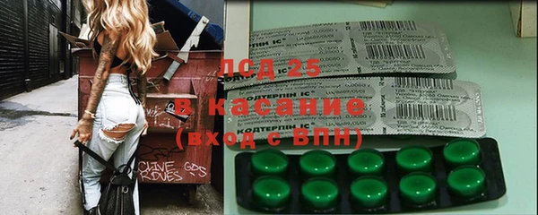 винт Алзамай