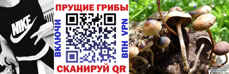 ссылка на мегу ССЫЛКА  Таруса  Галлюциногенные грибы мухоморы 